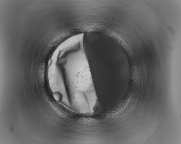 X0000112070590200908251044