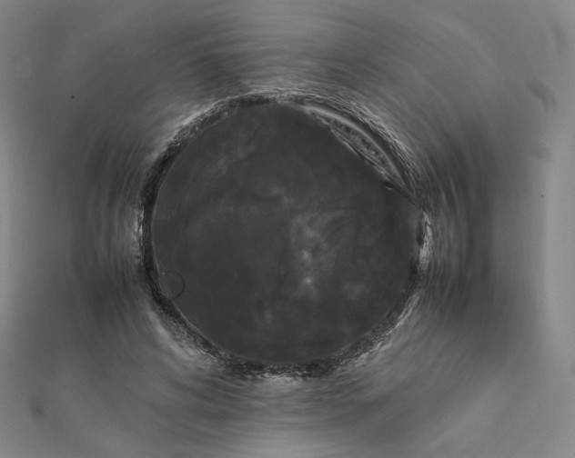 X0000112070592200908251044