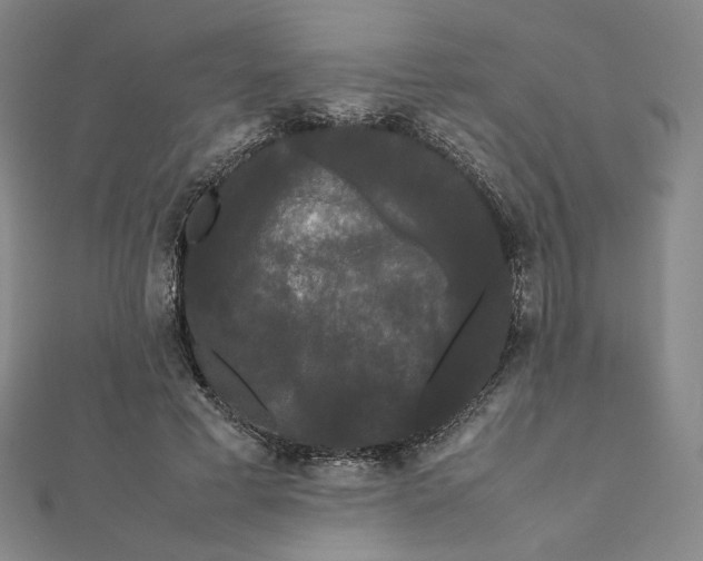 X0000112070593200908251044