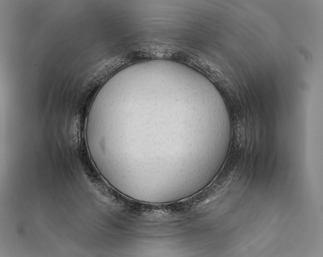 X0000112070594200908251044