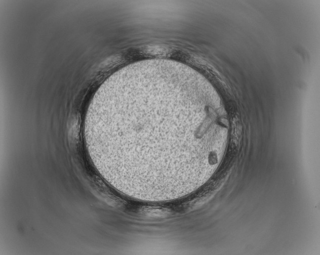 X0000112070597200908251044
