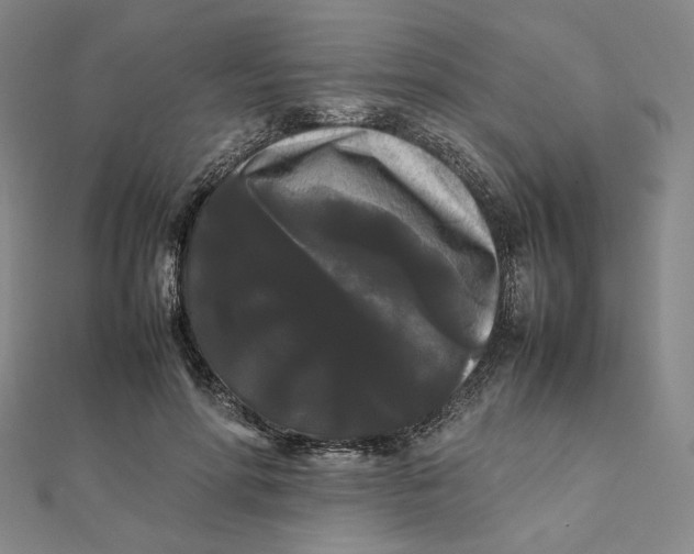 X0000112070598200908251044