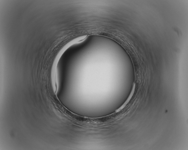 X0000112070599200908251044