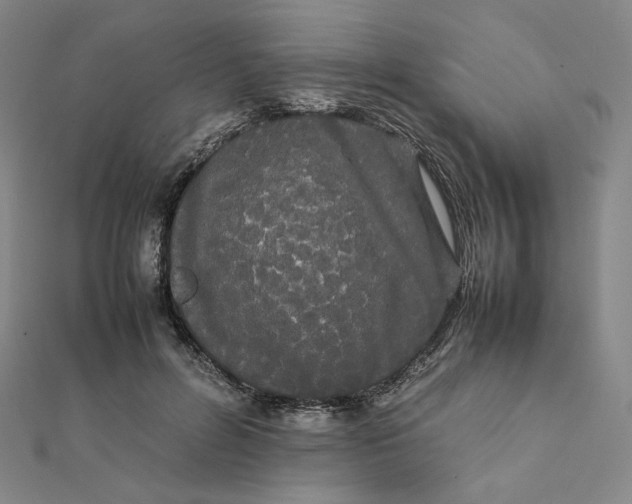 X0000112070600200908251044