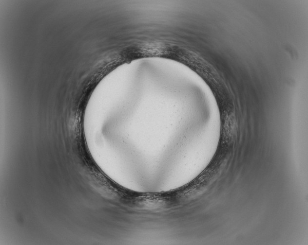 X0000112070601200908251044
