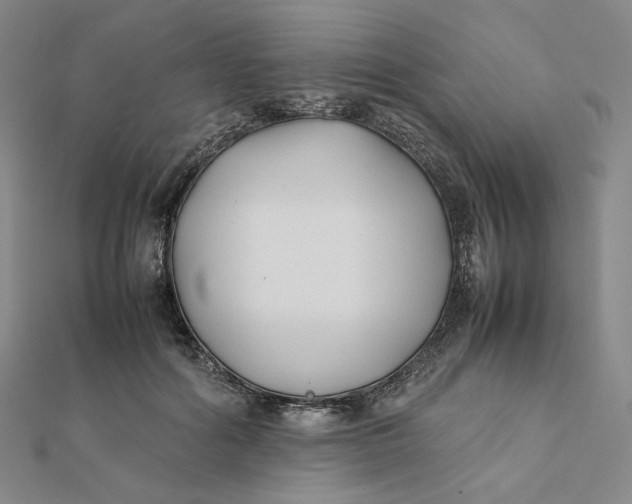 X0000112070602200908251044