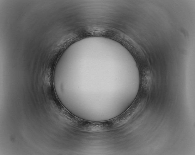 X0000112070604200908251044