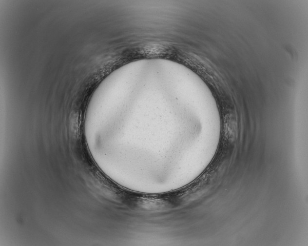 X0000112070605200908251044