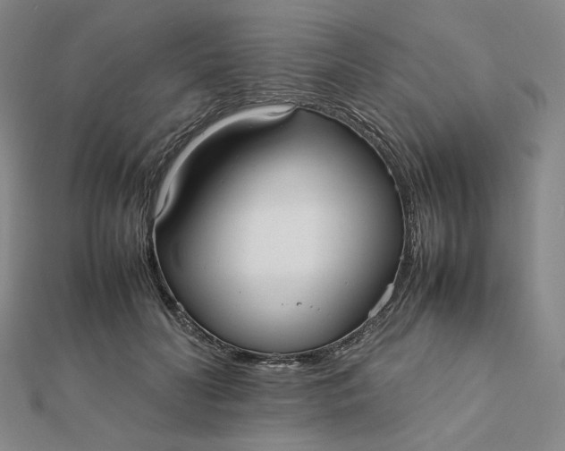 X0000112070606200908251044