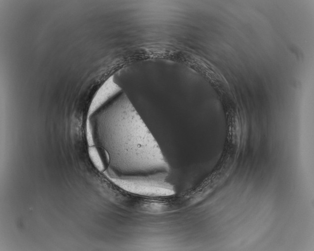 X0000112070610200908251044