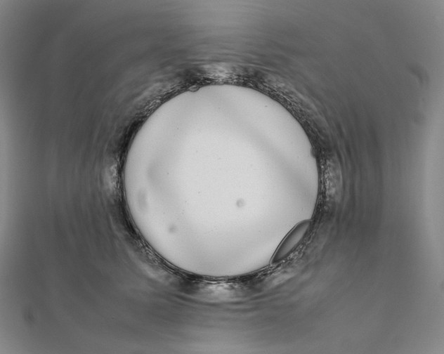 X0000112070611200908251044