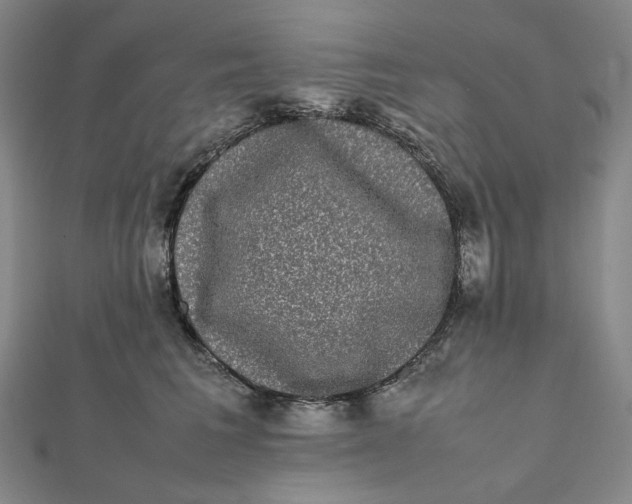 X0000112070613200908251044