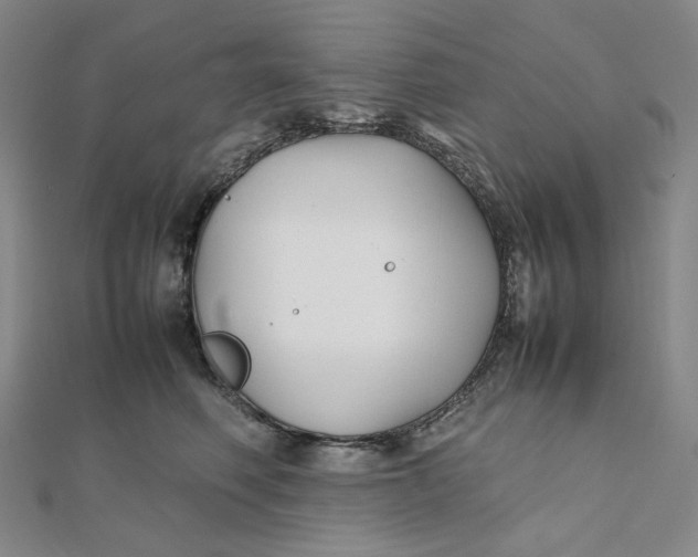 X0000112070614200908251044