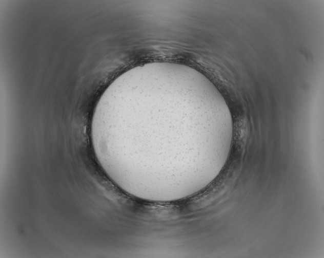 X0000112070615200908251044