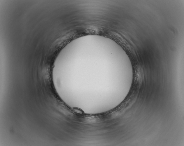 X0000112070616200908251044