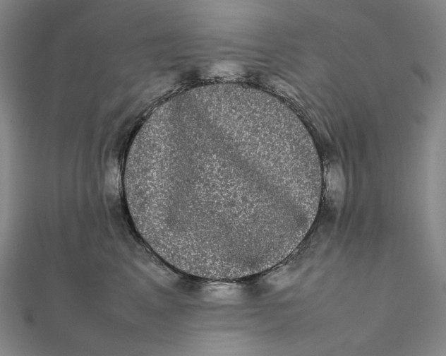 X0000112070617200908251044