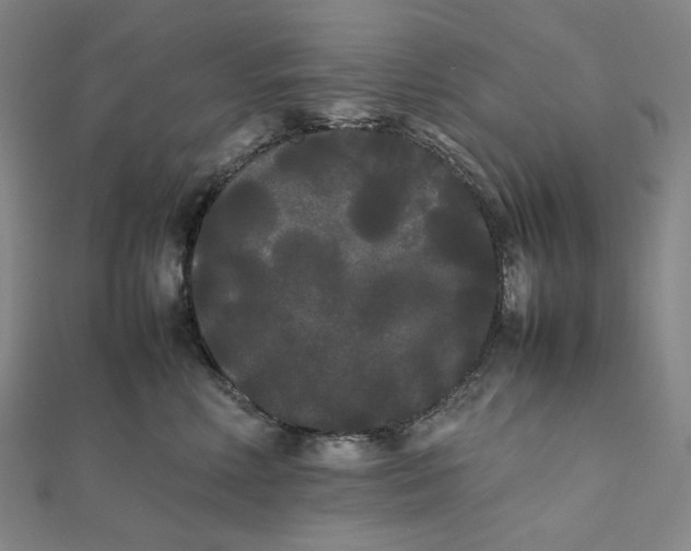 X0000112070618200908251044