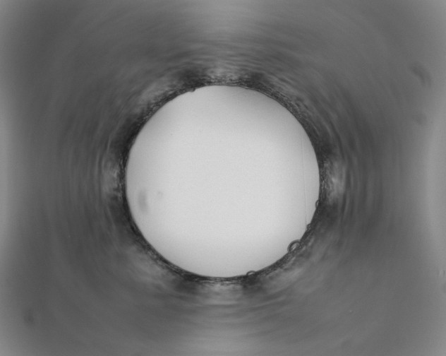 X0000112070619200908251044