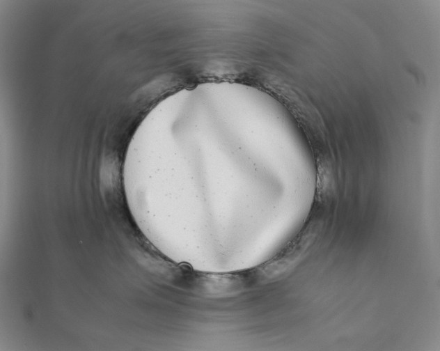 X0000112070623200908251043