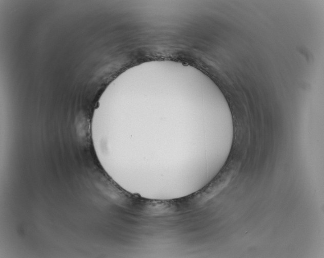 X0000112070624200908251043