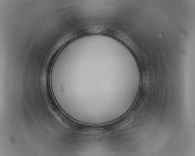 X0000112070626200908251043
