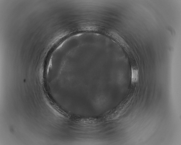 X0000112070627200908251043