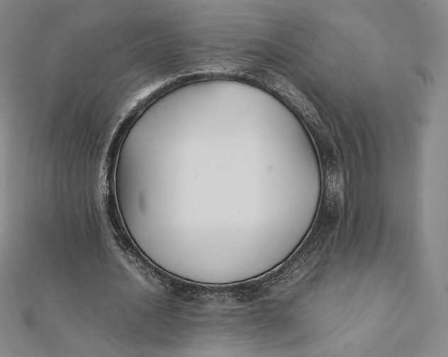 X0000112070628200908251043