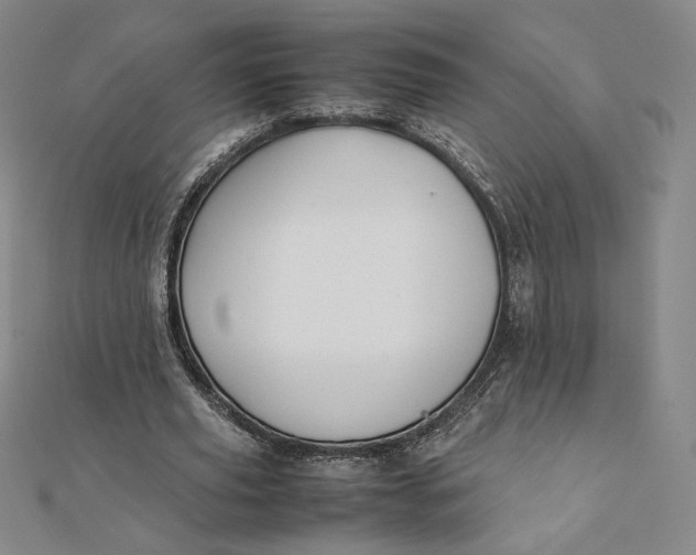 X0000112070629200908251043