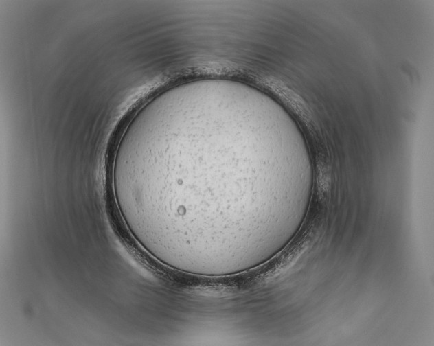X0000112070630200908251043