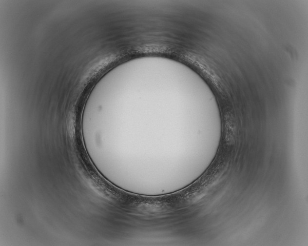 X0000112070631200908251043