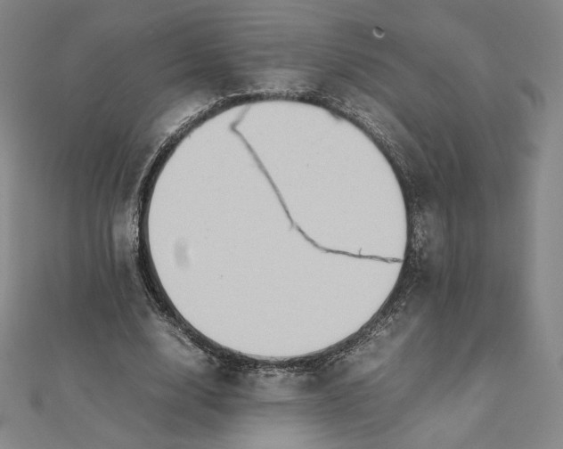 X0000112070632200908251043