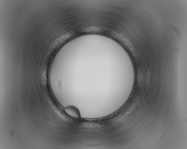 X0000112070633200908251043