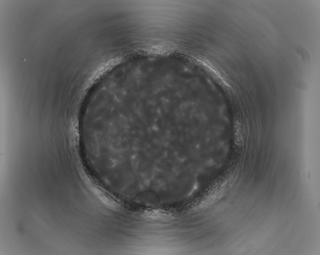 X0000112070634200908251043