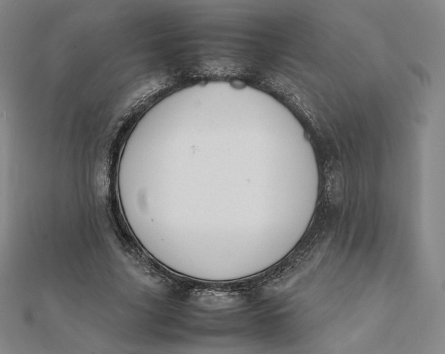X0000112070635200908251043