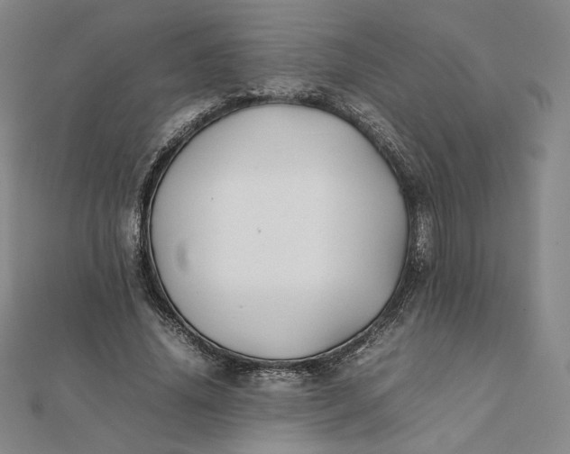 X0000112070636200908251043