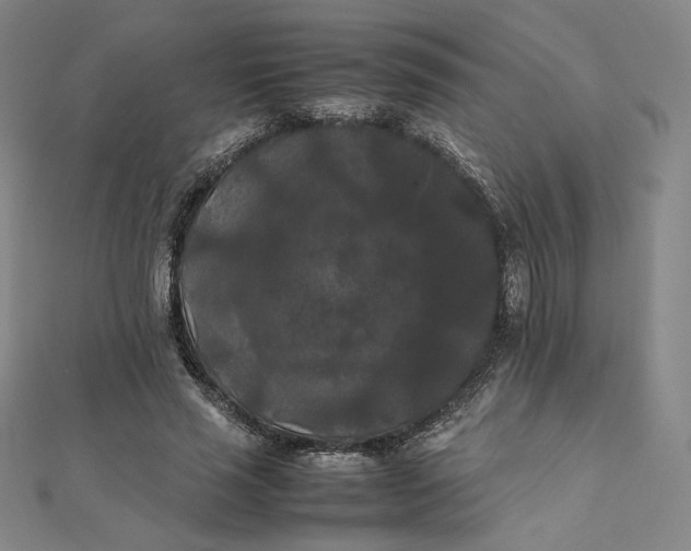 X0000112070637200908251043