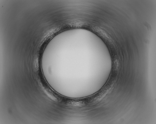 X0000112070638200908251043