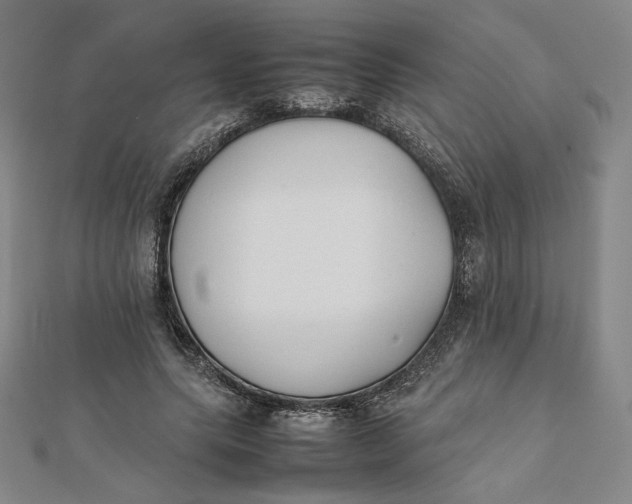 X0000112070639200908251043