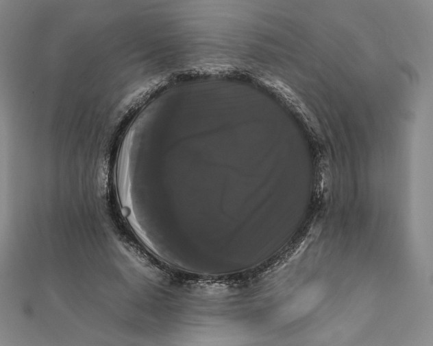 X0000112070640200908251043