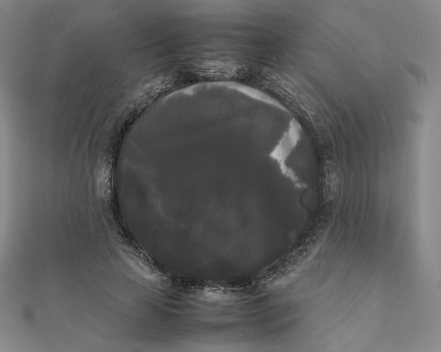 X0000112070641200908251043