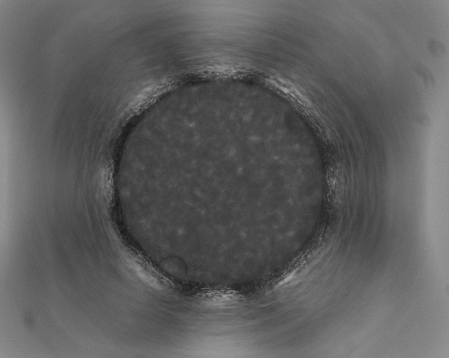 X0000112070642200908251043