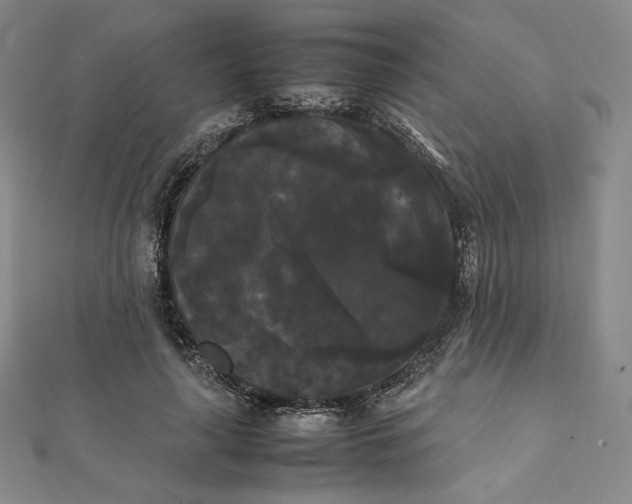 X0000112070643200908251043