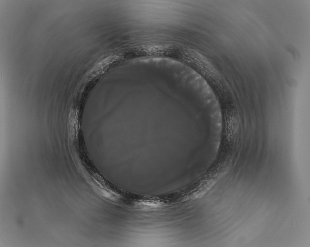 X0000112070644200908251043