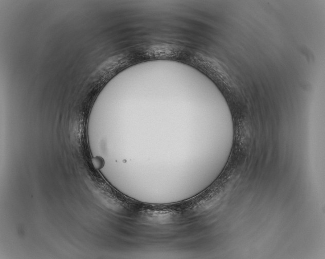 X0000112070645200908251043
