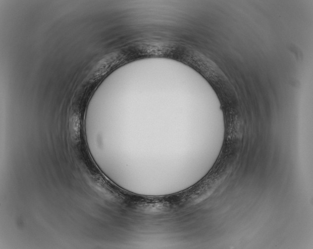 X0000112070646200908251043
