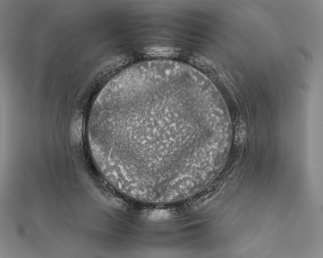 X0000112070647200908251043