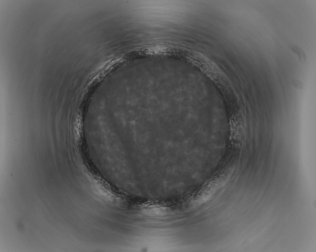 X0000112070648200908251043