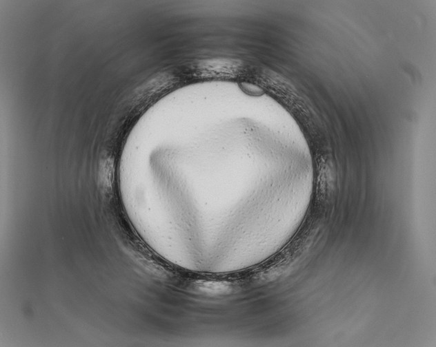 X0000112070649200908251043