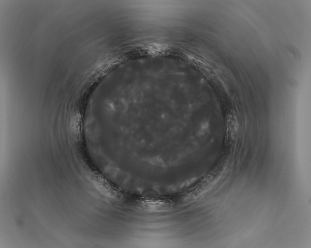 X0000112070650200908251043