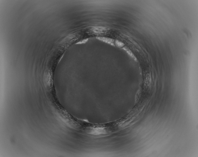 X0000112070651200908251043
